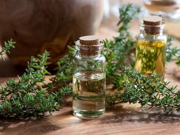 تصویر 3 از قیمت روز اسانس گیاه آویشن
